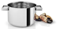 Eva Solo Kookpan Nordic Kitchen RVS - ø 20 Cm / 4 Liter -Koken Pro Verkoopwinkel 281240 Nordic Kitchen Pot 4l 20cm regi HIGH